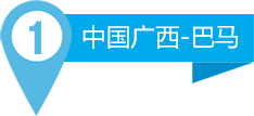 Brand Story